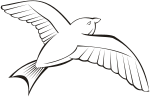 Bird in flight 6 (outline)